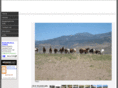 thatsmyhorsetoo.com
