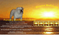 beamsbulldogs.com