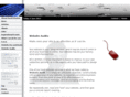 websiteaudits.net