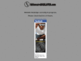 billionairebigslater.com