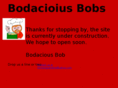 bodaciousbobs.com