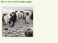 clion.org