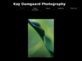 kaydamgaard.com