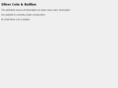 silvercoinbullion.com