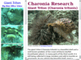 charonia.com