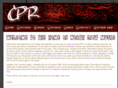 cruddasparkrecords.com