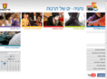 netanya-culture.co.il