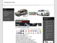racepower-chip.com