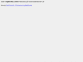 thydirekte.com