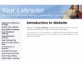 yourlabrador.com