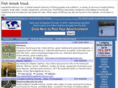 fishbrooktrout.com