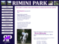 riminipark.com