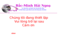bacminhhaingoai.com