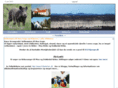 mousogn.dk