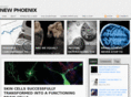 newphoenix.info