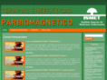 cursoparbiomagnetico.com