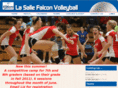 lasallefalconvolleyball.com