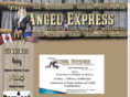 theangelexpress.com