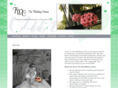 theweddingcntr.com