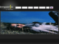 veronicaleather.com