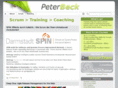agilefacilitation.com