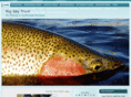 bigskytrout.com