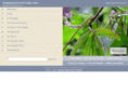 drawdownminimizer.com