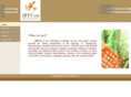 ibtcon.com