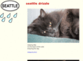 seattledrizzle.com