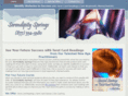serendipitysprings.com