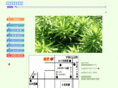 to-wa.com