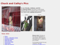 c-c-pics.com