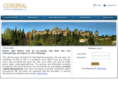 cerebralcapital.com