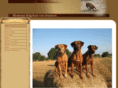 rhodesian-ridgeback-vom-drimborn.de