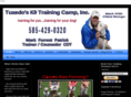 rochesterdogtrainer.com