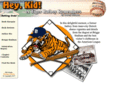 tigerbatboy.com