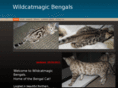 wildcatmagic.net