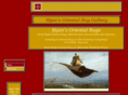 bijansorientalrug.com