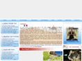 realvoyages.com