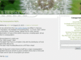 seedhead.com