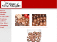 ballstonvillagesweets.com
