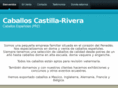 castilla-rivera.com