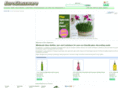 euroglassnow.com