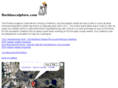floridasculptors.com