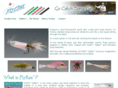 flyflex.com