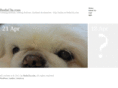 rednchi.com