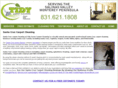 tidycarpetcleaning.com