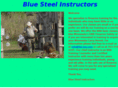 bsi-mn.com
