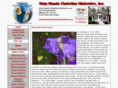 holyhandsministries.org
