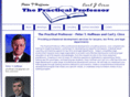 thepracticalprofessor.com